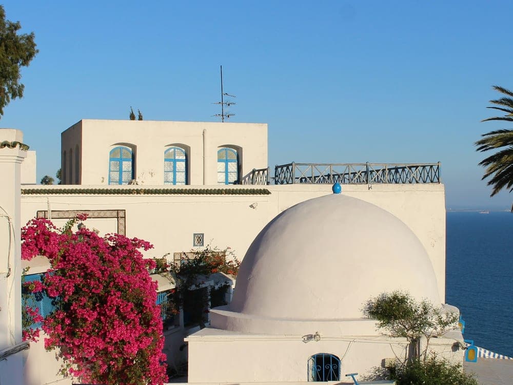 Toits blancs et dôme de Sidi Bou Saïd, cadrage serré